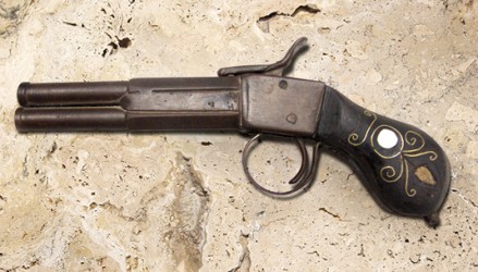 Gun